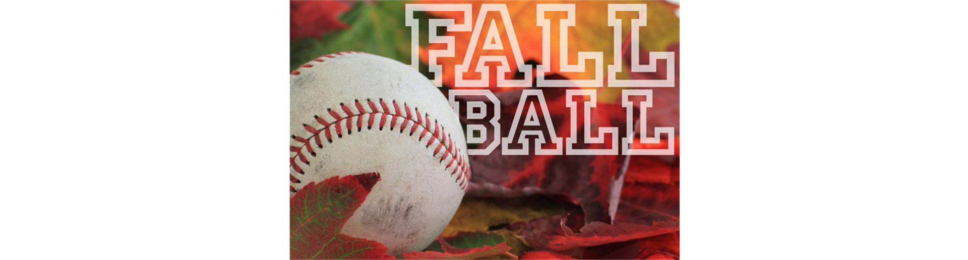Registration open - Fall Baseball 2023